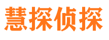 静海市侦探公司